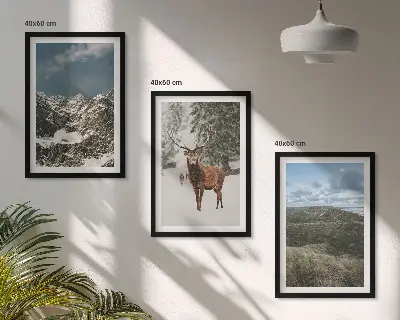 Gerahmtes Bilderset mit Motiven von Bergen, Schnee, Hirschen und einer Waldlandschaft