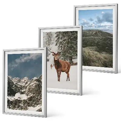 Gerahmtes Bilderset mit Motiven von Bergen, Schnee, Hirschen und einer Waldlandschaft
