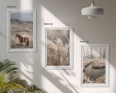 Bilder-3er-set mit rahmen Pferde, Landschaft, Gras, Bach