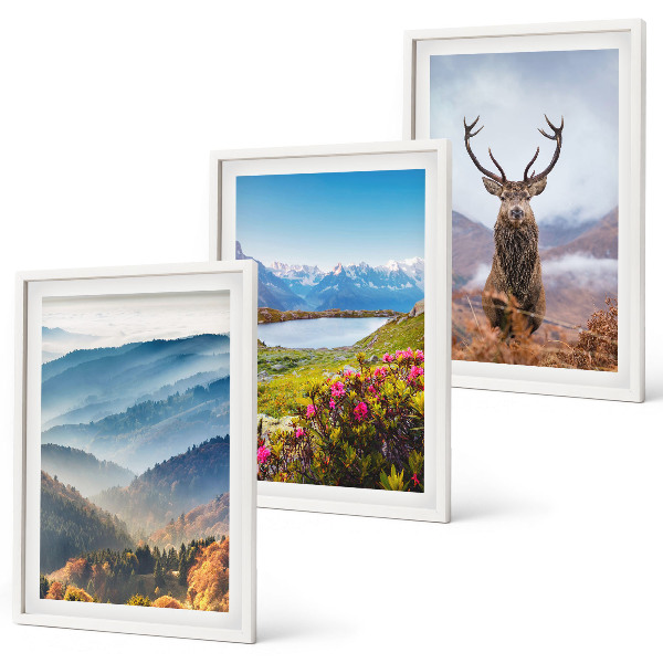 Gerahmtes bilderset Natur des Bergseehirsches