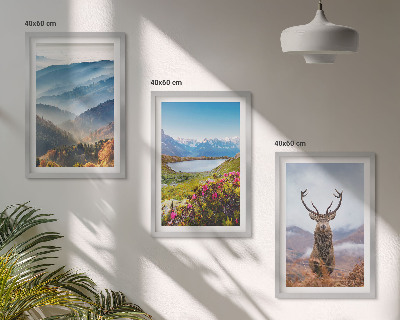 Gerahmtes bilderset Natur des Bergseehirsches