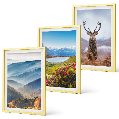 Gerahmtes bilderset Natur des Bergseehirsches
