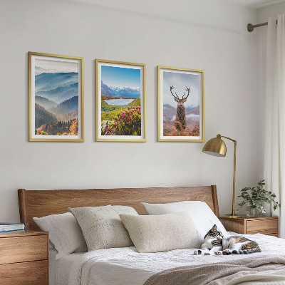 Gerahmtes bilderset Natur des Bergseehirsches