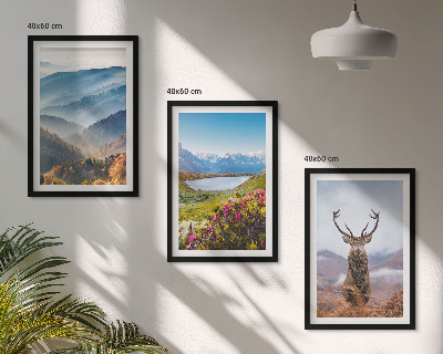 Gerahmtes bilderset Natur des Bergseehirsches