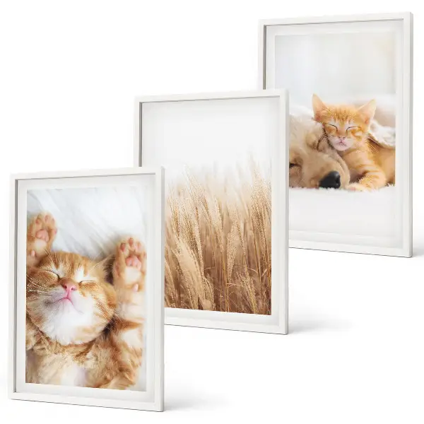 Gerahmtes Bilderset mit niedlichen Tieren wie Katzen und Hunden im Boho-Stil