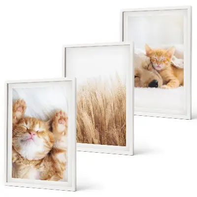 Gerahmtes Bilderset mit niedlichen Tieren wie Katzen und Hunden im Boho-Stil