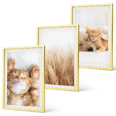 Gerahmtes Bilderset mit niedlichen Tieren wie Katzen und Hunden im Boho-Stil