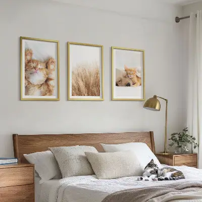Gerahmtes Bilderset mit niedlichen Tieren wie Katzen und Hunden im Boho-Stil