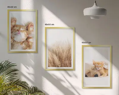 Gerahmtes Bilderset mit niedlichen Tieren wie Katzen und Hunden im Boho-Stil
