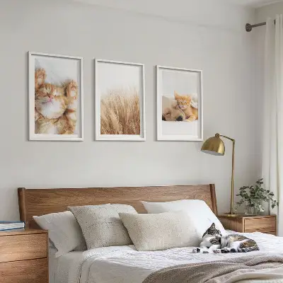 Gerahmtes Bilderset mit niedlichen Tieren wie Katzen und Hunden im Boho-Stil