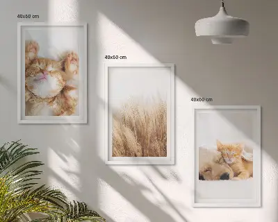 Gerahmtes Bilderset mit niedlichen Tieren wie Katzen und Hunden im Boho-Stil