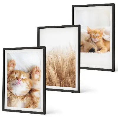 Gerahmtes Bilderset mit niedlichen Tieren wie Katzen und Hunden im Boho-Stil