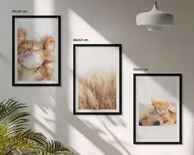 Gerahmtes Bilderset mit niedlichen Tieren wie Katzen und Hunden im Boho-Stil