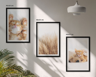 Gerahmtes bilderset Niedliche Tiere, Katzen, Hunde, Boho-Stil