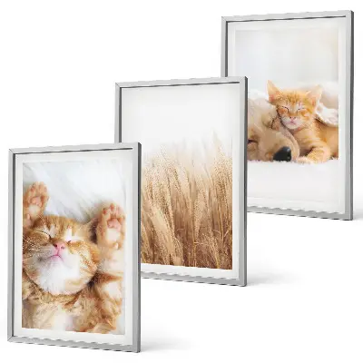 Gerahmtes Bilderset mit niedlichen Tieren wie Katzen und Hunden im Boho-Stil