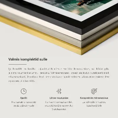 Schwarz-weiße weibliche Silhouetten 3er-Set Bilder inklusive Rahmen