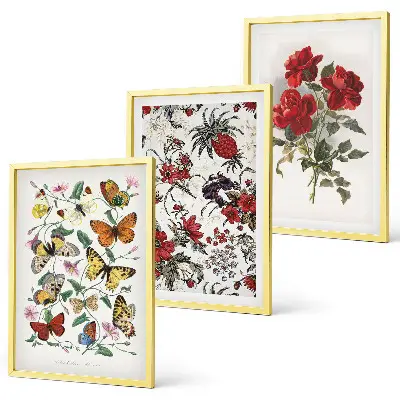 Gerahmtes Bilderset mit Schmetterlingen, Blumen und roten Rosen