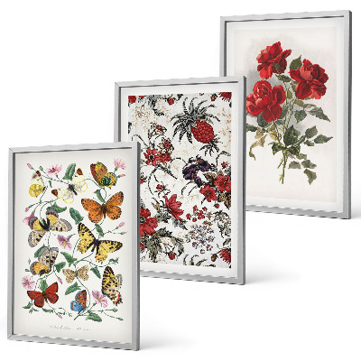 Gerahmtes bilderset Schmetterlinge, Blumen, rote Rosen
