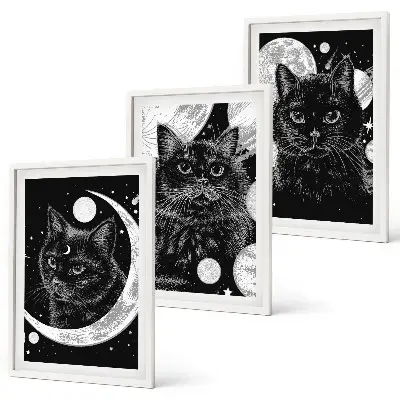 3er-Set Bilder mit Rahmen mit Motiv schwarze Katzen Mond und Weltraum