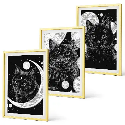 3er-Set Bilder mit Rahmen mit Motiv schwarze Katzen Mond und Weltraum