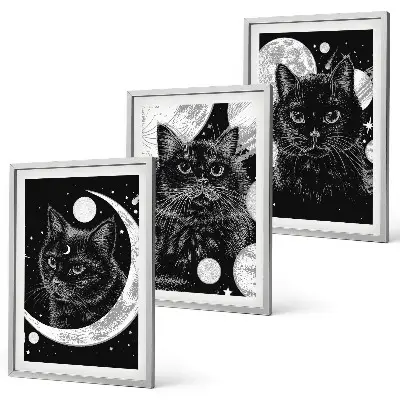 3er-Set Bilder mit Rahmen mit Motiv schwarze Katzen Mond und Weltraum