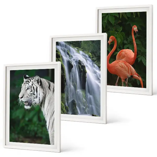 3er-Set Bilder mit Rahmen mit Motiven von Tiger, Wasserfall und Flamingos in der Natur