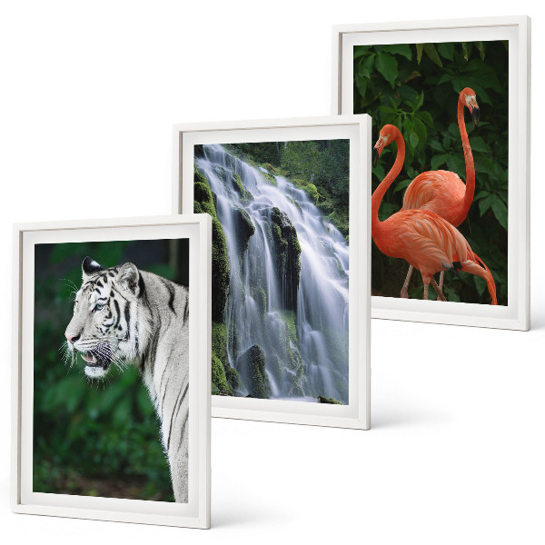 Bilder-3er-set mit rahmen Tiger Wasserfall Flamingos Natur