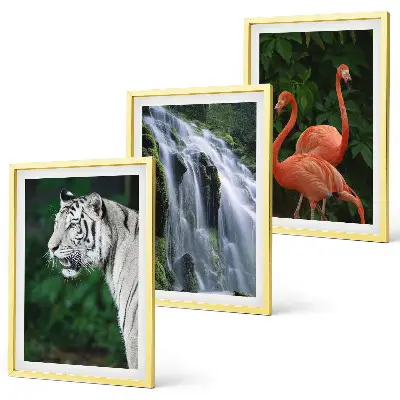 3er-Set Bilder mit Rahmen mit Motiven von Tiger, Wasserfall und Flamingos in der Natur
