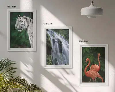 3er-Set Bilder mit Rahmen mit Motiven von Tiger, Wasserfall und Flamingos in der Natur