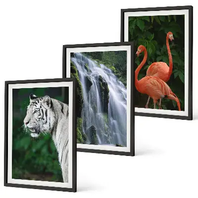 3er-Set Bilder mit Rahmen mit Motiven von Tiger, Wasserfall und Flamingos in der Natur