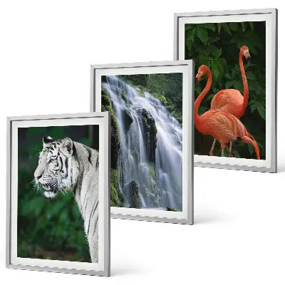 3er-Set Bilder mit Rahmen mit Motiven von Tiger, Wasserfall und Flamingos in der Natur