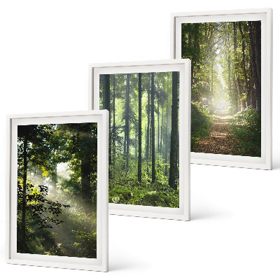 Bilder-3er-set mit rahmen Grüne Wälder mit Lichtstrahlen