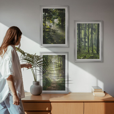 Bilder-3er-set mit rahmen Grüne Wälder mit Lichtstrahlen