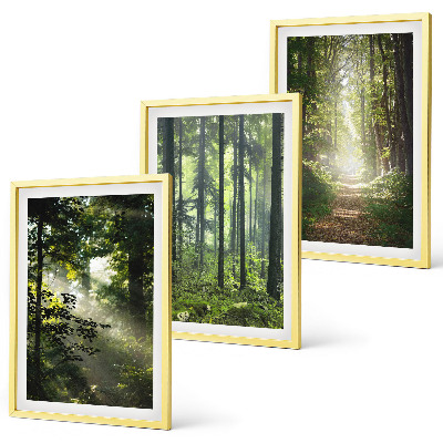Bilder-3er-set mit rahmen Grüne Wälder mit Lichtstrahlen