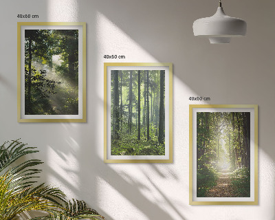 Bilder-3er-set mit rahmen Grüne Wälder mit Lichtstrahlen