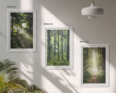 Bilder-3er-set mit rahmen Grüne Wälder mit Lichtstrahlen