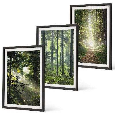 Bilder-3er-set mit rahmen Grüne Wälder mit Lichtstrahlen