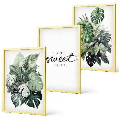 3er-Set Wandbilder mit Rahmen Pflanzenmotiv mit der Aufschrift Sweet Home