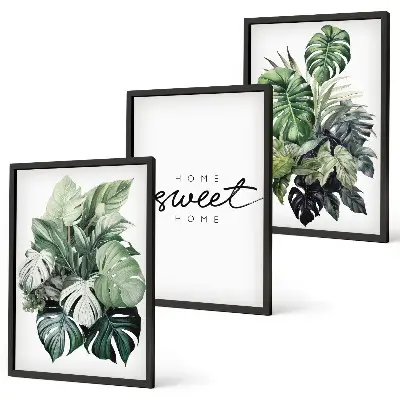 3er-Set Wandbilder mit Rahmen Pflanzenmotiv mit der Aufschrift Sweet Home