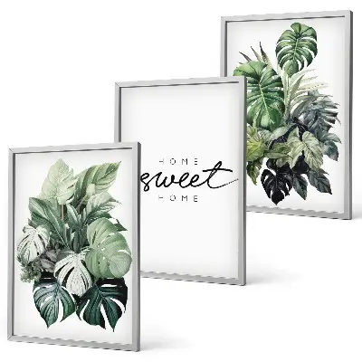 3er-Set Wandbilder mit Rahmen Pflanzenmotiv mit der Aufschrift Sweet Home