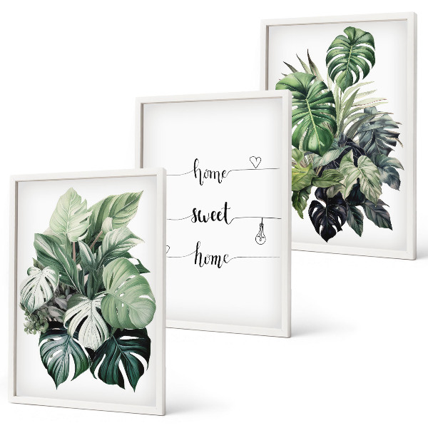 Gerahmtes bilderset Aquarell-Monstera-Blätter