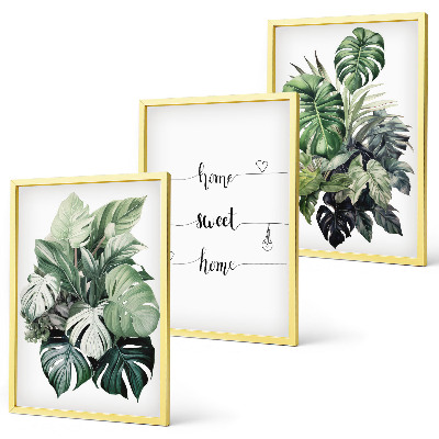 Gerahmtes bilderset Aquarell-Monstera-Blätter