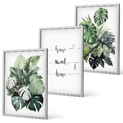 Gerahmtes bilderset Aquarell-Monstera-Blätter