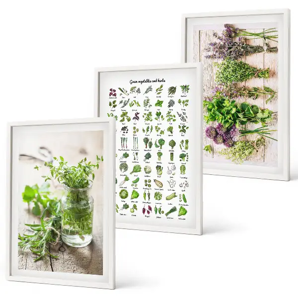 Gerahmtes Set aus getrockneten Küchenkräutern dekorative Bilder für die Küche