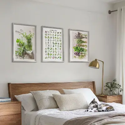 Gerahmtes Set aus getrockneten Küchenkräutern dekorative Bilder für die Küche