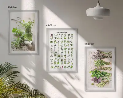 Gerahmtes Set aus getrockneten Küchenkräutern dekorative Bilder für die Küche