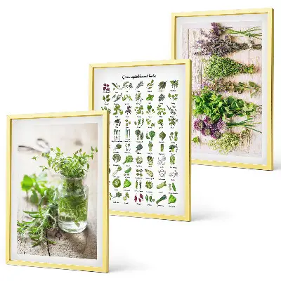 Gerahmtes Set aus getrockneten Küchenkräutern dekorative Bilder für die Küche