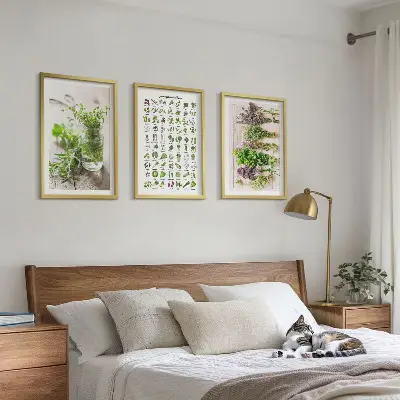 Gerahmtes Set aus getrockneten Küchenkräutern dekorative Bilder für die Küche