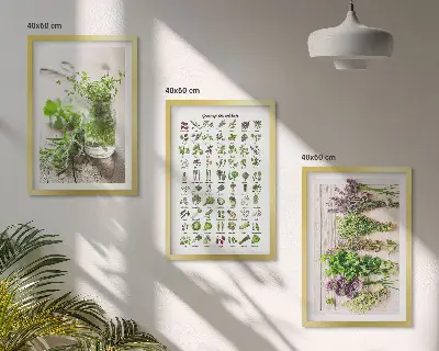 Gerahmtes Set aus getrockneten Küchenkräutern dekorative Bilder für die Küche
