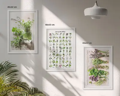 Gerahmtes Set aus getrockneten Küchenkräutern dekorative Bilder für die Küche